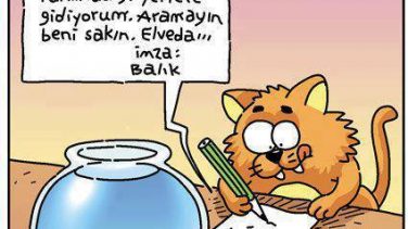 Çeşitli Karikatürler