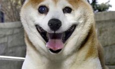 O hep Gülüyor Ama Aslında Acı Bir Sebepten ….