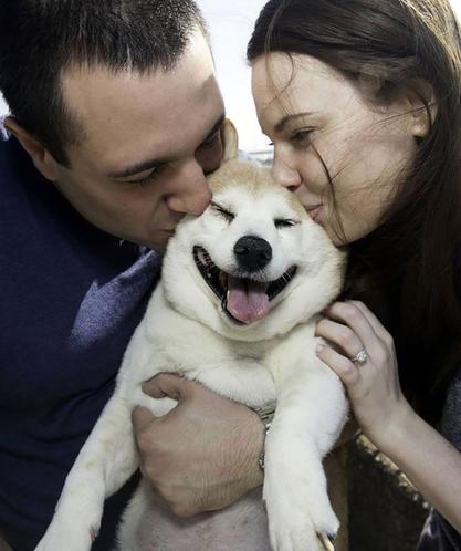 Sürekli gülen köpek Cinnamon