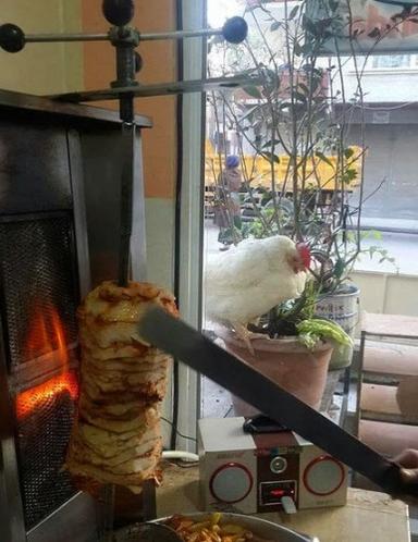 Tavuk döner ve sırasını bekleyen bir tavuk