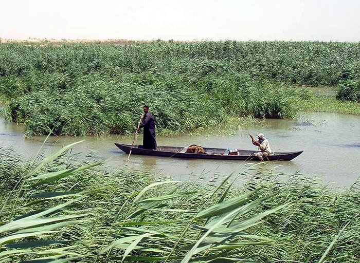 Bataklık arapları kültürü