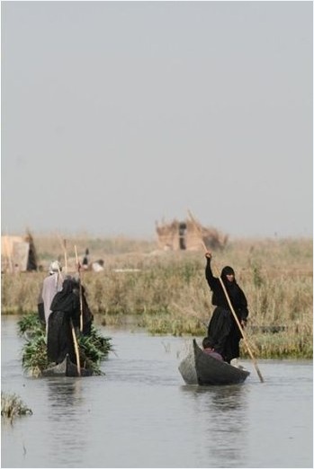 Irak'ın güneyinde yaşayan Bataklık Arapları