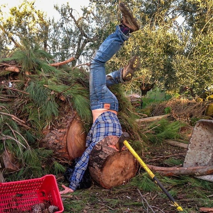 Ağaç keserken feci şekilde düşen adam